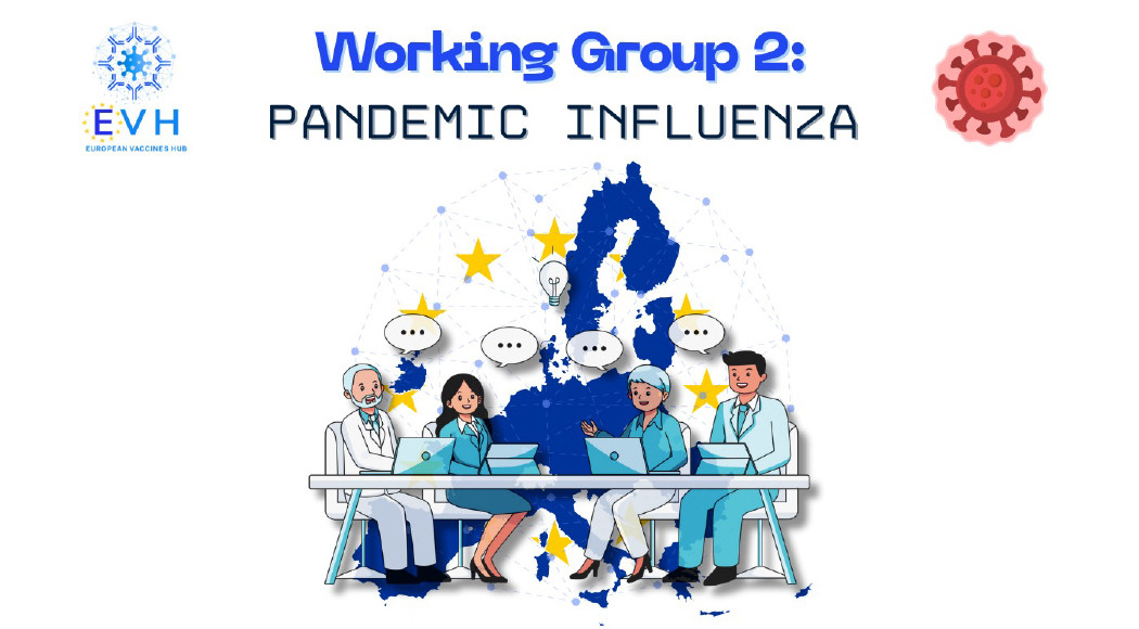 The EVH Working Group on Pandemic Influenza supports strategic research and coordination to enhance Europe’s pandemic vaccine preparedness.