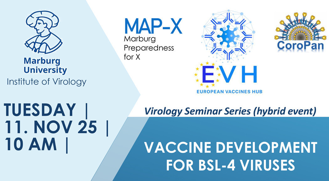 Vaccine development for BSL-4 viruses